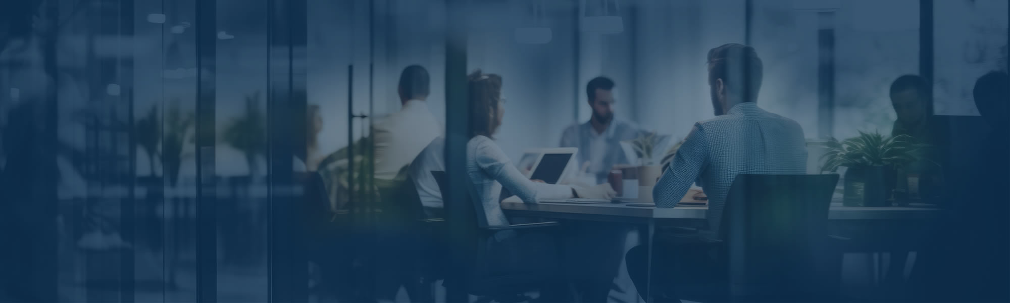 Mainta évolue vers Synidia